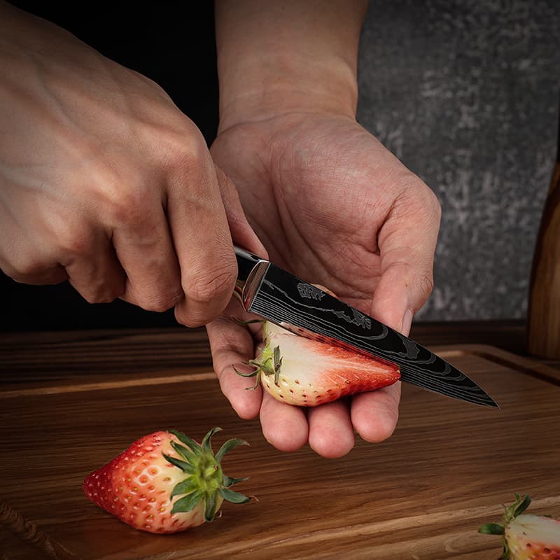 Asahi 朝日川 Damascus Pattern Stainless Steel Kitchen 8 Knife Set